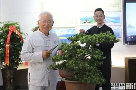 七旬白头翁，妙手成景！图片