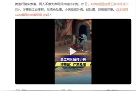 动物园回应员工呵斥抽打小狗：涉事员工已被停职，小狗受皮外伤图片