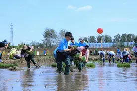 沈阳于洪区亲子插秧节边玩边学收获多多图片