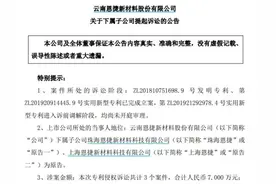 900亿隔膜巨头起诉，事关这家比亚迪参投IPO公司图片