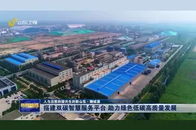 人与自然和谐共生的新山东·聊城篇｜搭建双碳智慧服务平台 助力绿色低碳高质量发展图片