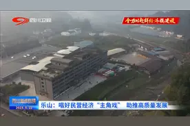 四川新闻联播 | 乐山：唱好民营经济“主角戏” 助推高质量发展图片