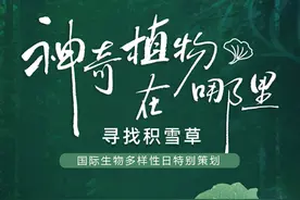 “植愈”真修护 神奇植物积雪草守护地球与人类肌肤图片