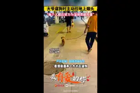 最有爱的你①丨大爷遛狗时随手捡烟头图片