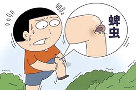 【北京疾控提醒您】比蚊子可怕的吸血小虫子，携带多种致病菌……图片
