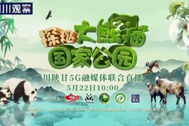 国际生物多样性日，跟随影像“撸熊猫”图片