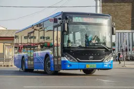 最新！明天石家庄公交路线优化2条暂停3条，快看都是哪条线路？图片