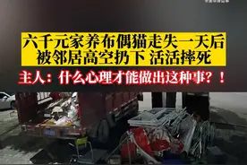 热闻|宠物猫被邻居高空扔下活活摔死，网友：高空抛物，应该严惩图片