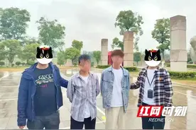 两部手机一根线便能“躺赚”？两男子被刑拘图片