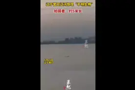 辽宁营口辽河惊现“不明生物”拍摄者：约5米长图片