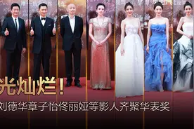 星光灿烂！吴京刘德华章子怡等影人齐聚华表奖图片