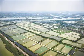 粤韵周刊丨秦初始建番禺城 三国改名叫广州图片