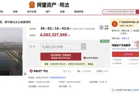 合肥宝能城部分资产将被司法拍卖，总起拍价约50.78亿元图片