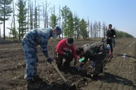 一线调查|稳粮扩豆助丰产  解决“重茬”有良方图片