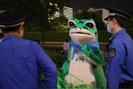 “卖崽青蛙”火爆之后：网红的最终归宿是闲鱼？图片