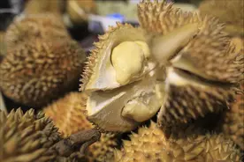 榴莲凭什么这么贵，一个上百块图片