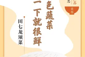 味蕾上的江苏·本土美食志 日历｜田七龙须菜：特色蔬菜，凉拌一下就很鲜图片