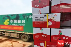 “荔枝航空专机”加盟海口邮政快递服务 拓宽农民“增收链”图片