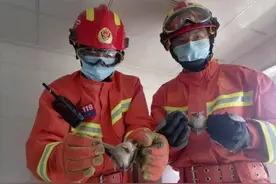 胆小者莫入！近百只蝙蝠“入侵”银川一住户家中……图片