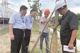 栽树严防蛀虫来图片