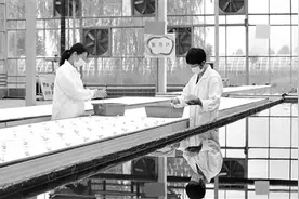 人工智能亟待构筑“主动免疫”安全防线图片