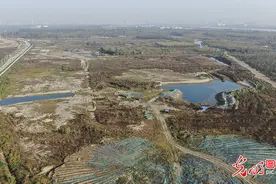 鱼梁洲中央生态公园：“江中荒洲”变身“城市绿心”图片