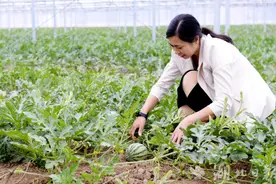 老河口：多种经营“样板间”丰富体验“农家乐”图片