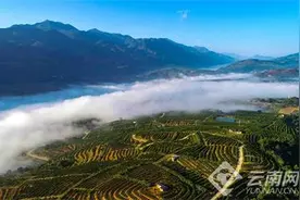 保山龙陵一地生五金，一业出四效图片