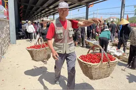 昼夜不息狂欢樱桃季！张格庄大樱桃市场“不打烊”图片