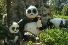 大熊猫观察记｜烟台中小学生习作园地图片