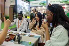 茶博会再 “出圈”  今年开化好茶如何吸睛？图片