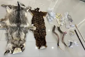 抓获8人！涉案上千万！台州公安破获省厅督办大案图片
