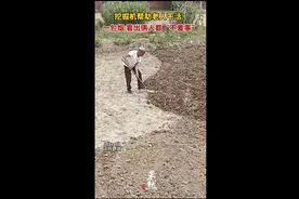 暖心小伙用挖掘机帮助老人干活，一包烟看出俩人都“不差事”图片