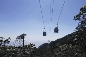 约起！ 大理苍山洗马潭杜鹃花盛放图片