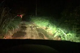 连日搜寻！柳州85岁阿婆走失三天四夜，在深山被找到图片