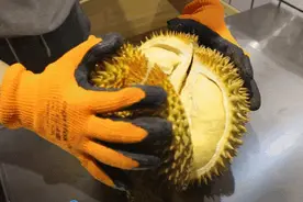 比起贵和臭，榴莲的这个缺点劝退了很多人图片