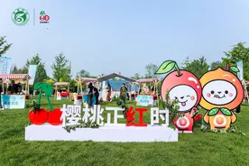 8000亩樱桃红了，海淀推出三条采摘旅游路线图片