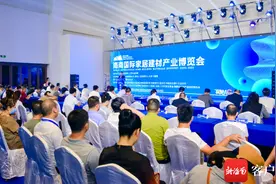 推广低碳环保设计理念 首届海南国际家居建材博览会在三亚开幕图片