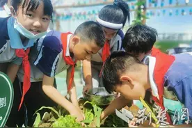 襄阳市晨光小学：“蔬”香溢校园 劳动促成长图片