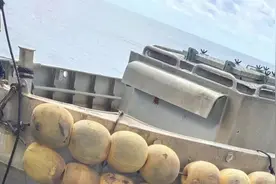 男子三年存下40万元，远洋“淘金”有多难？图片