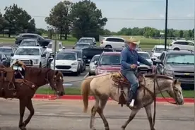 美国一位父亲骑马接娃 为其庆祝学年结束图片