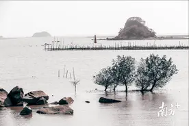 海况早知道丨下周潮州附近海域以小浪到轻浪为主，水温继续上升图片