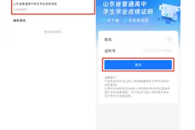不排队，不等待，高中学业成绩证明在“爱山东”一键查看图片