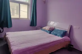 果然视频|“大学生掏鸟案”当事人出狱，父母为其备新鞋收拾新屋图片