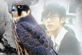 海报｜记者现场探访“大学生掏鸟案”当事人刑满释放图片