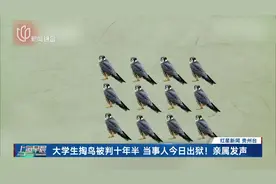 大学生掏鸟被判十年半 当事人今日出狱！亲属发声视频封面