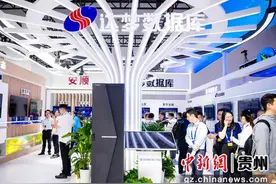 数据库行业“国货之光”达梦数据库亮相2023数博会图片