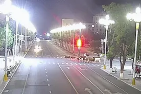 “喂，110吗？街上有17头牛在溜达啊......”图片