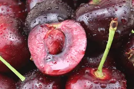 最新最全丨福山区今夏大樱桃采摘攻略图片