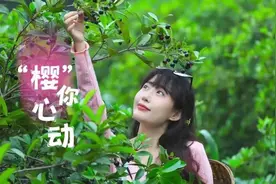 番樱桃熟了！有人抢鲜！珠海最多只有6000斤…图片